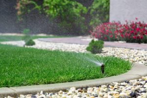 sprinkler system